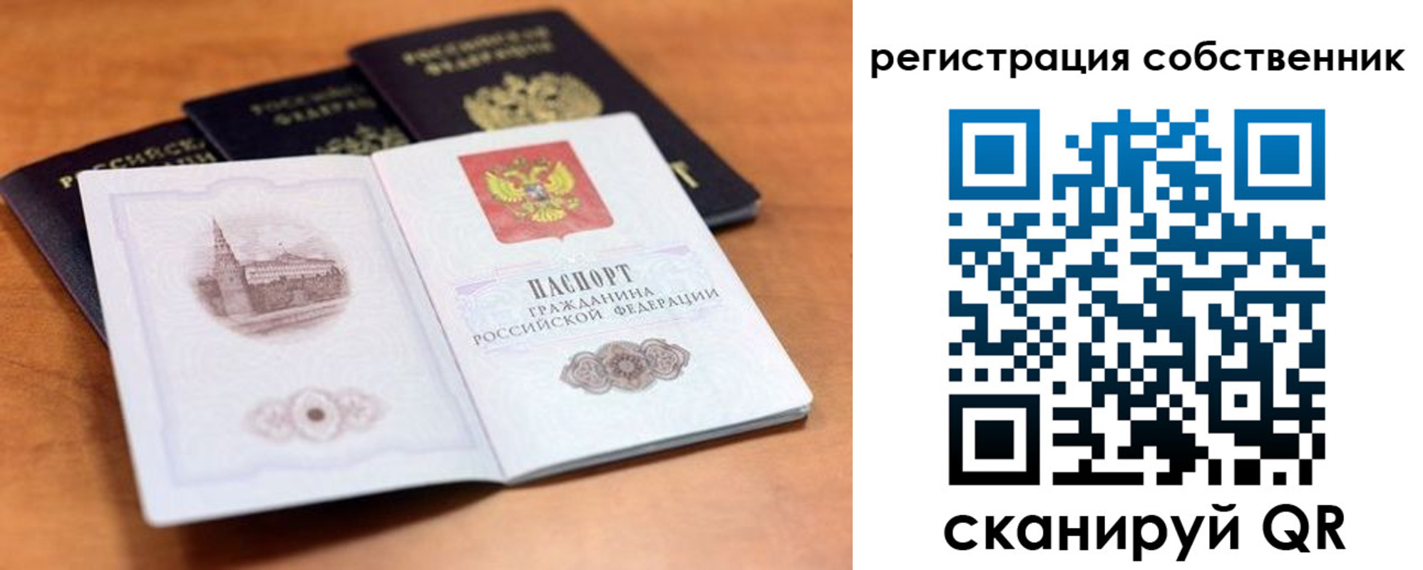 прописка поиск в Елизово